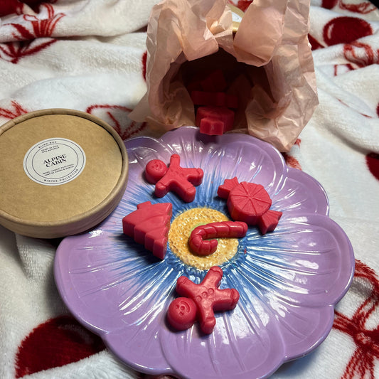 Wax Melts Box